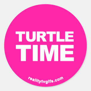 Turtle Time - Stickers