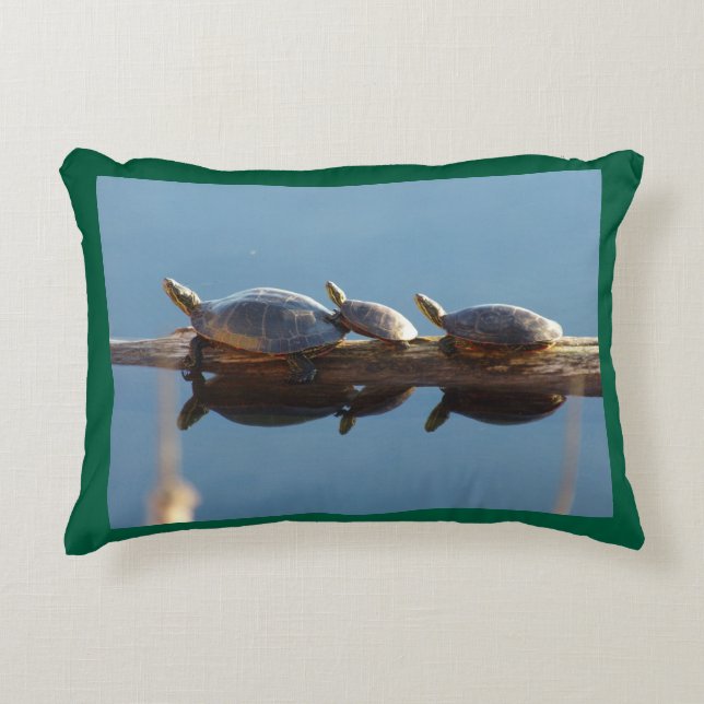 Turtle Trio Accentkussen Accent Kussen (Voorkant)