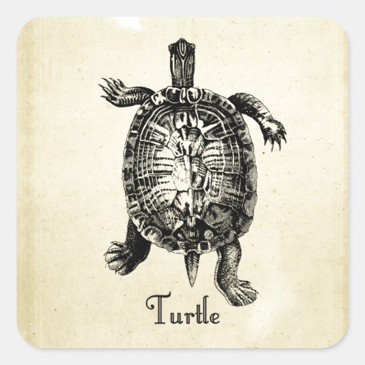  TURTLE VIERKANTE STICKER (Voorkant)