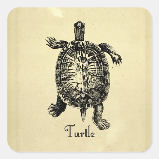  TURTLE VIERKANTE STICKER (Voorkant)