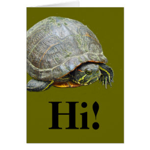 Turtle's Day Off