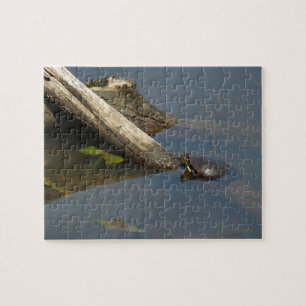 Turtle's Day Off Legpuzzel