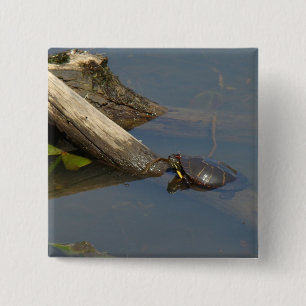 Turtle's Day Off Vierkante Button 5,1 Cm