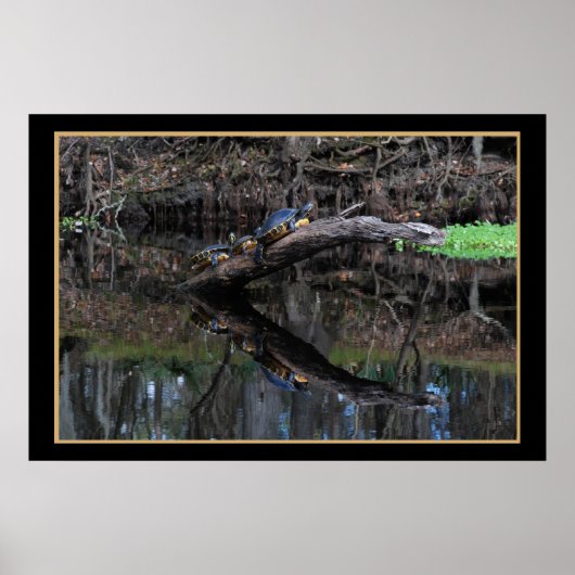 Turtles op de Santa Fe 520 Poster (Voorkant)