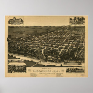 Tuscaloosa Alabama 1887 Panoramische Kaart Poster