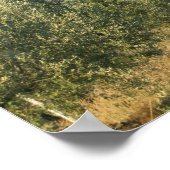 Tuscan Castle Poster (Hoek)