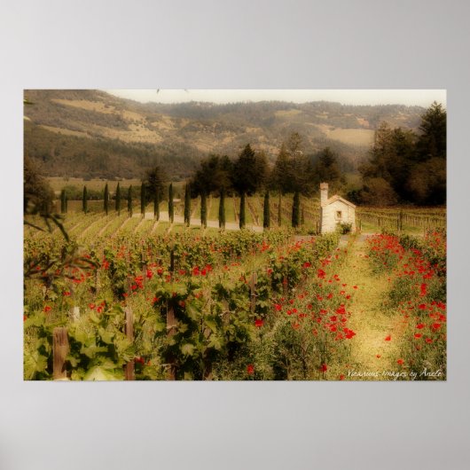 Tuscan Dream Print (Voorkant)