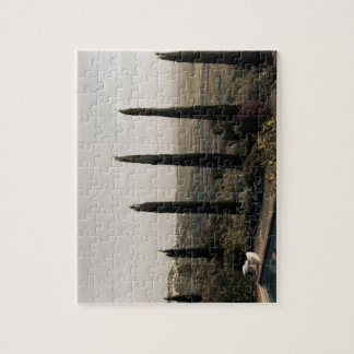 Tuscan landscape hidden behind cypresses (2024) legpuzzel