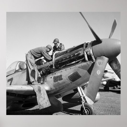 Tuskegee Airmen: 1945 Poster (Voorkant)