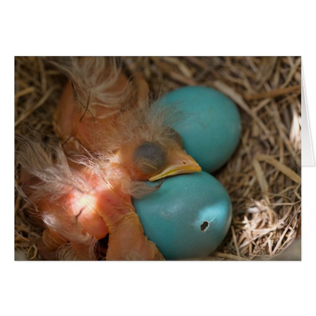 Tussen Broers (Voorkant Horizontaal)