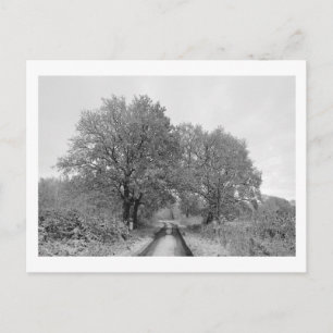 Tussen de eiken (winter) briefkaart
