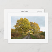 Tussen de Oaks: Rural Cheshire Briefkaart (Voorkant / Achterkant)