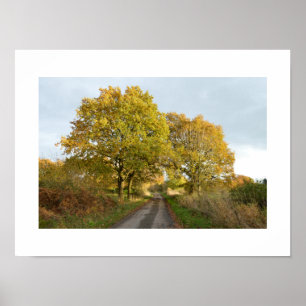 Tussen de Oaks: Rural Cheshire Poster