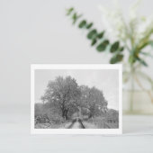 Tussen de Oaks (winter) Briefkaart (Staand voorkant)