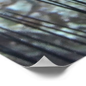 Tussen de Urchins Poster (Hoek)