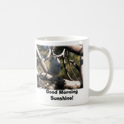Tutfts Titmouse, Goedemorgen Sunshine! Koffiemok (Rechts)