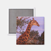 Tutwa, girafe en tetswana, Magnet (Recto/Verso)