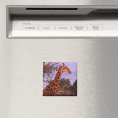 Tutwa, girafe en tetswana, Magnet (In Situ (Lave-vaisselle))