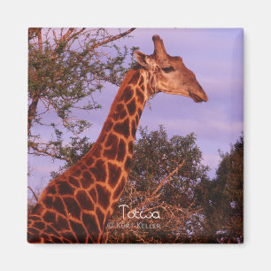 Tutwa, girafe en tetswana, Magnet