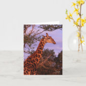 Tutwa, Giraffe en Tetswana, Carte à Note (Fleur jaune)
