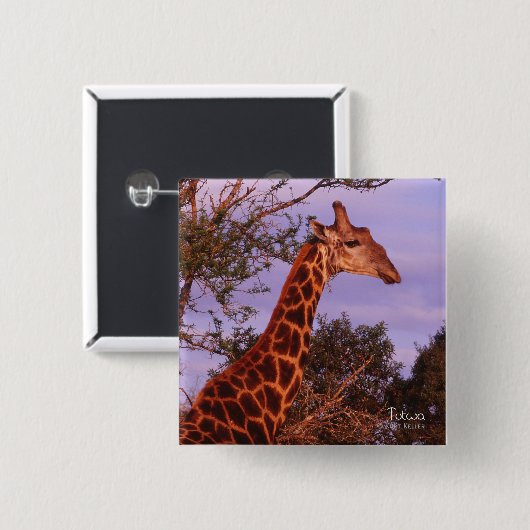 Tutwa, giraffe in Botswana, Button (Voorkant /achterkant)