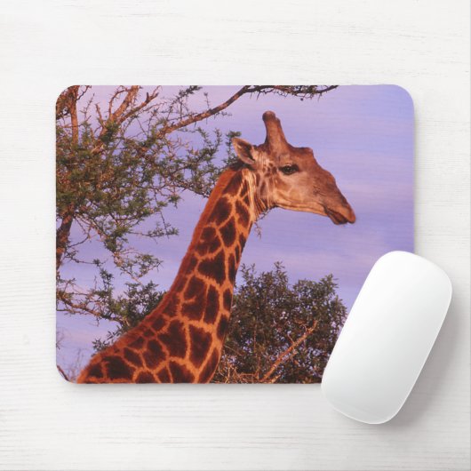Tutwa, giraffe in Tetswana, Mousepad Muismat (Met muis)