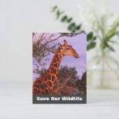 Tutwa Save Our Wildlife Briefkaart (Staand voorkant)