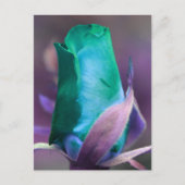 Tuurroze Roos Knop Gepersonaliseerd Briefkaart (Voorkant)