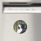 Tux - Aimant Rond De 2¼ Pouces (In Situ (Lave-vaisselle))