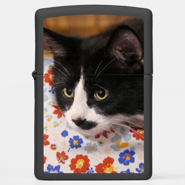 Tuxedo Cat (Voorkant)