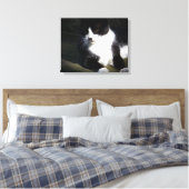 Tuxedo Cat 20 po x 16 po Impression en toile étiré (Insitu(Chambre))