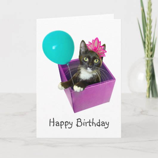 Tuxedo Cat Birthday Kaart (Voorkant)