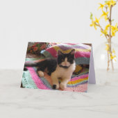 Tuxedo Cat Cute avec jolie carte de tapis Crochet (Fleur jaune)