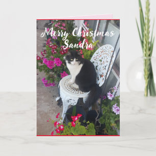 Tuxedo Cat Cute Flowers Kat kerstkaart Kaart