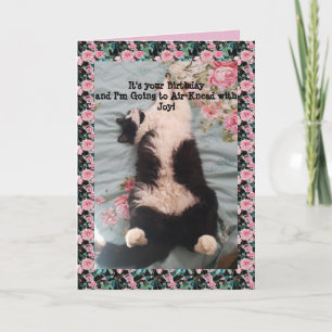 Tuxedo Cat Cute Funny Air Kneading Cats Carte Rose