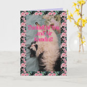 Tuxedo Cat Cute Funny Quote Air Kneading Card Kaart (Gele Bloem)