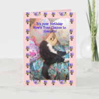 Tuxedo Cat Cute Funny Slapen Viola Card