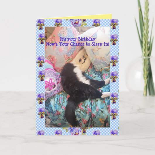 Tuxedo Cat Cute Funny Slapen Viola Card Kaart (Voorkant)
