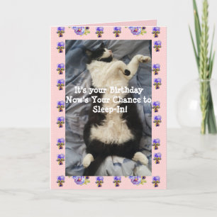 Tuxedo Cat Cute Funny Slapen Viola Card Kaart