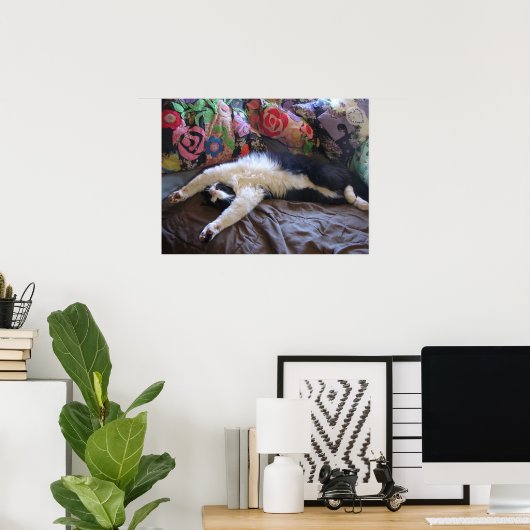 Tuxedo Cat Cute Funny Slapende cats Poster (Thuiskantoor)
