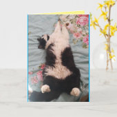 Tuxedo Cat Cute Funny Sleeping Cats Carte de pétri (Fleur jaune)