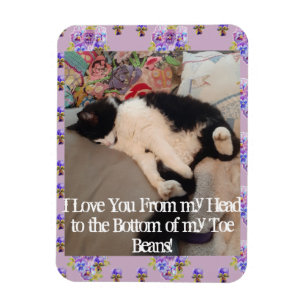 Tuxedo Cat Funny Love You Citate cats Magnet Magneet