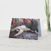 Tuxedo Cat Funny Mexicaine Vague Cute Carte Annive (Dos)