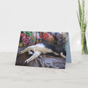 Tuxedo Cat Funny Mexican Wave Cute Birthday Card Kaart