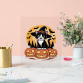 Tuxedo Cat Halloween Witch Schattigee pompoenen Es Acryl Bord (Huwelijk)