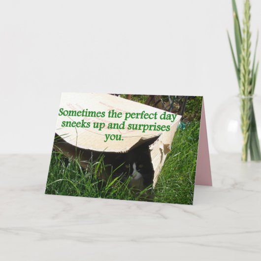 Tuxedo Cat Hiding Perfect Day Quote Card Kaart (Voorkant)
