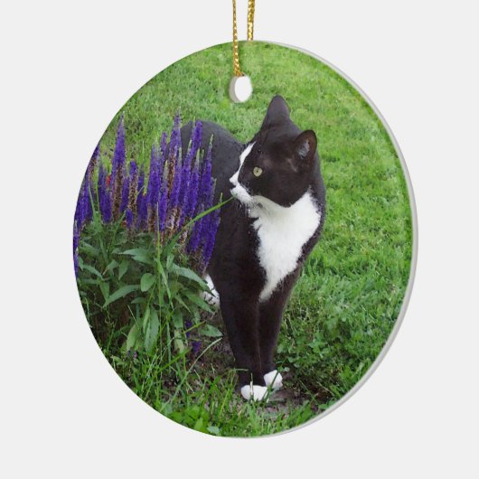 Tuxedo Cat in tuin Keramisch Ornament (Links)
