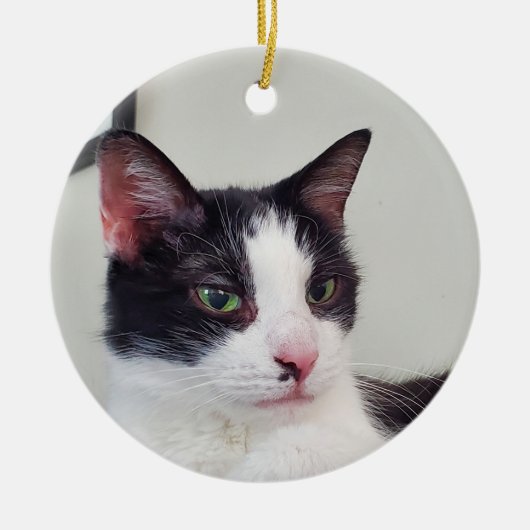Tuxedo Cat Keramisch Ornament (Voorkant)