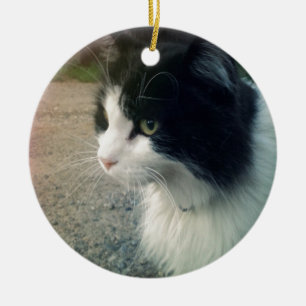Tuxedo Cat Keramisch Ornament
