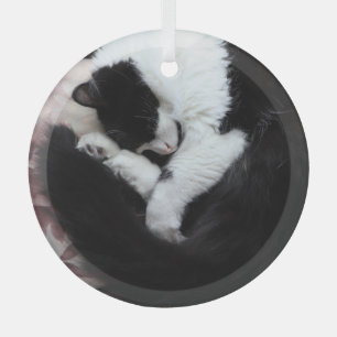 Tuxedo Cat Kitty Cats Black en White Caturday Glas Ornament